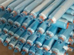 网络工程膜 技术演进与未来趋势