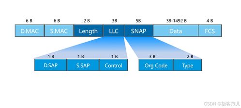数据链路层的核心 MAC地址及其在网络工程中的关键角色——以华为HCIP认证视角解读
